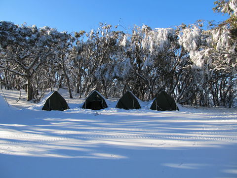 Mt Stirling Alpine Winter Camp - Accommodation Port Macquarie 1