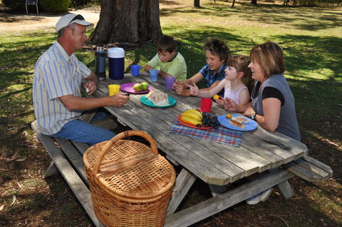 Naracoorte Caves Camping And Accomodation - Accommodation Port Macquarie 0