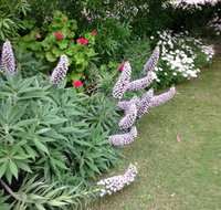 Padthaway Caravan Park - Accommodation Port Macquarie