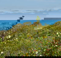 Preston Beach Front Apartment - Accommodation Port Macquarie