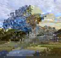 Sanctuary Lakes Fauna Retreat - Accommodation Port Macquarie