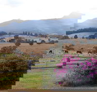 The Barn  House Farm Stay at Possum Manor - Accommodation Port Macquarie