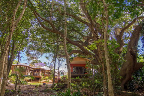 The African Village - By Clouds - Accommodation Port Macquarie 0
