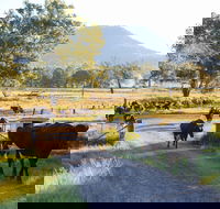 Tommerups Dairy Farmstay - Accommodation Port Macquarie