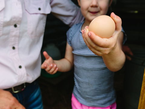 Tommerups Dairy Farmstay - Accommodation Port Macquarie 1
