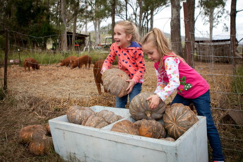 Tommerups Dairy Farmstay - Accommodation Port Macquarie 2