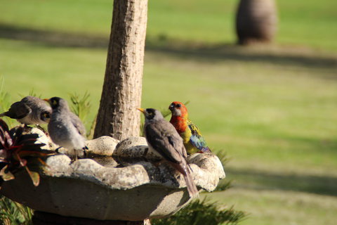 Twin Figs Country Retreat - Accommodation Port Macquarie 2