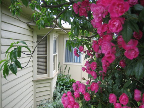 Valley Views Bed And Breakfast - Accommodation Port Macquarie 0