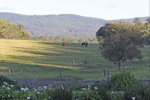 Wallaby Cottage - Accommodation Port Macquarie 0