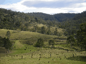 Yasuragi Cabins - Accommodation Port Macquarie