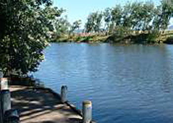 Mitchell Gardens Holiday Park - Accommodation Port Macquarie 2