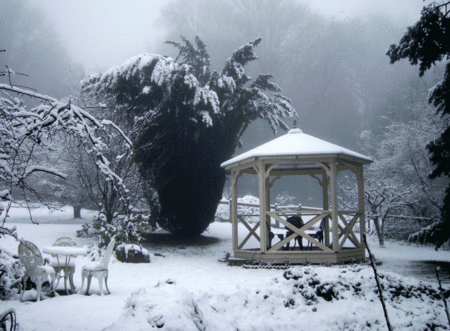 Arcadia Cottages - Accommodation Port Macquarie 2