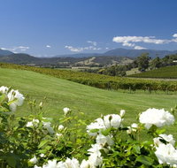 Balgownie Estate Vineyard Resort and Spa - Accommodation Port Macquarie