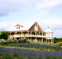 Serendipity Lavender Farm - Accommodation Port Macquarie