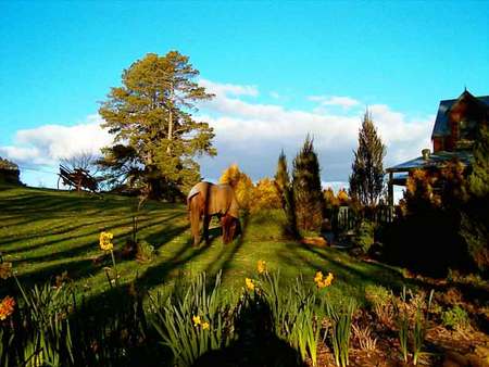 Gracehill B And B - Accommodation Port Macquarie 4