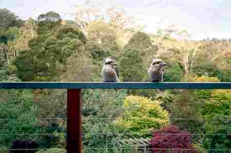 Upwey VIC Accommodation Port Macquarie