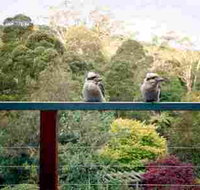 Mast Gully Gardens - Accommodation Port Macquarie