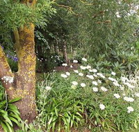 Springbank Bed and Breakfast - Accommodation Port Macquarie