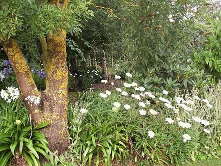 Springbank Bed And Breakfast - Accommodation Port Macquarie 0