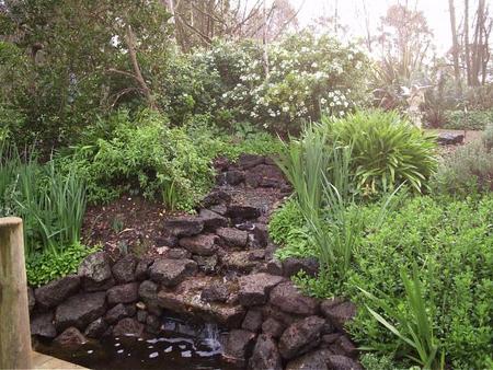 Springbank Bed And Breakfast - Accommodation Port Macquarie 4