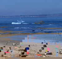 QueenscliffeTourist Park - Accommodation Port Macquarie