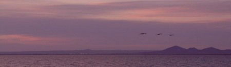 Pelican Sands Bed And Breakfast - Accommodation Port Macquarie 0