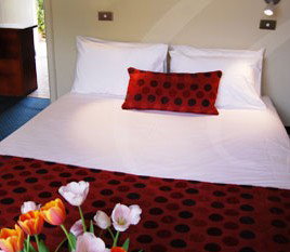 Parade Inn - Accommodation Port Macquarie 2