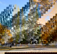 Omeo Caravan Park - Accommodation Port Macquarie