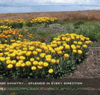 Alpine View Apartments - Accommodation Port Macquarie