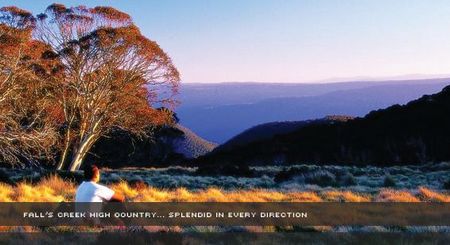 Alpine View Apartments - Accommodation Port Macquarie 1