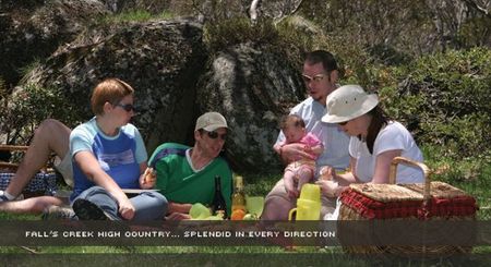 Alpine View Apartments - Accommodation Port Macquarie 2