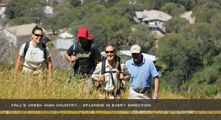 Alpine View Apartments - Accommodation Port Macquarie 3