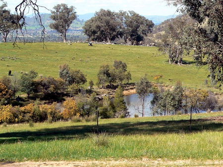 Gaddleen Grove Cottages - Accommodation Port Macquarie 3