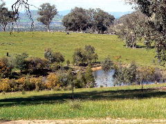 Gaddleen Grove Cottages - Accommodation Port Macquarie 5