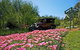 Brilynbrook Country Accommodation - thumb 5