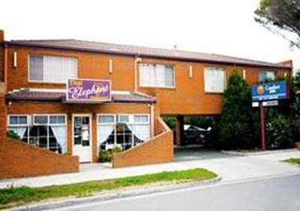 Comfort Inn Bay City Geelong - Accommodation Port Macquarie 0