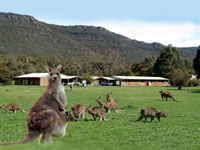 Halls Gap Log Cabins - Accommodation Port Macquarie 2