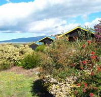 Black Cockatoo Cottages - Accommodation Port Macquarie