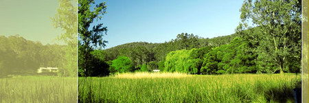 Waterholes Guest House - Accommodation Port Macquarie 0