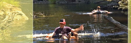 Waterholes Guest House - Accommodation Port Macquarie 3