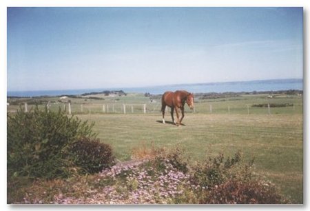 First Class Bed And Breakfast - Accommodation Port Macquarie 0