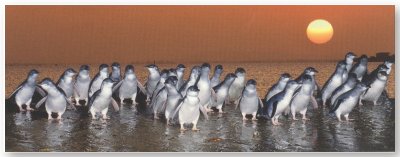 First Class Bed And Breakfast - Accommodation Port Macquarie 1