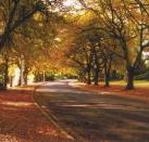 La Trobe at Beechworth - Accommodation Port Macquarie