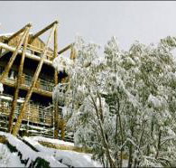 Silverski - Accommodation Port Macquarie