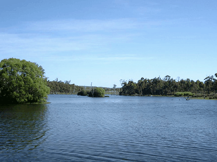 Currawong Lakes - Accommodation Port Macquarie