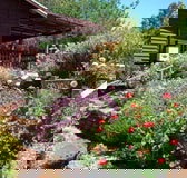 Chestnut Brook Cottage - Accommodation Port Macquarie