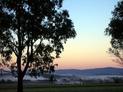 Bluebush Estate - Accommodation Port Macquarie 0