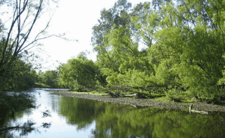 Ribbonwood Cottages - Accommodation Port Macquarie