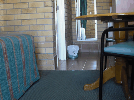 Dragon  Phoenix Motel - Accommodation Port Macquarie