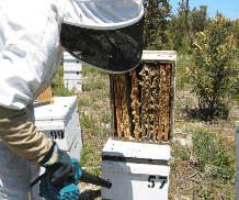 Herne Hill WA Accommodation Port Macquarie